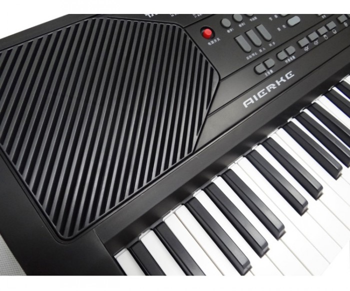 爱尔科系列电子琴 ARK-2177 61键 电子琴价格