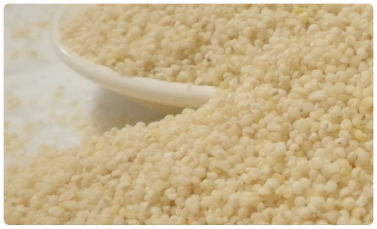 关东大嫂 五谷臻品 精选白小米 400g*4袋怎么样