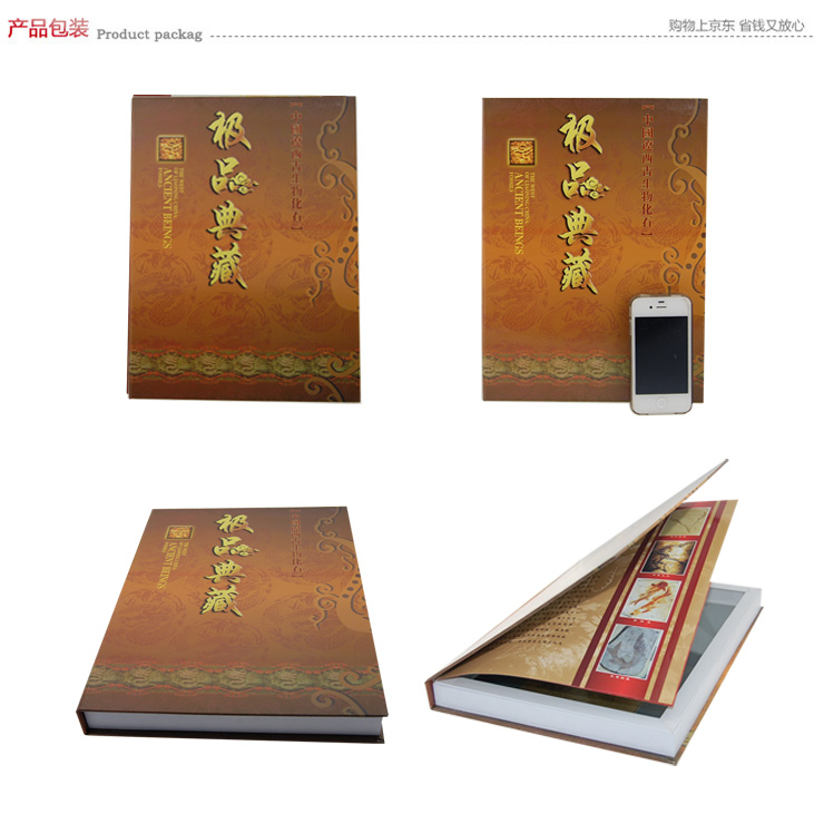 宝 一亿五千万年极品收藏 典藏植物加鱼化石 H