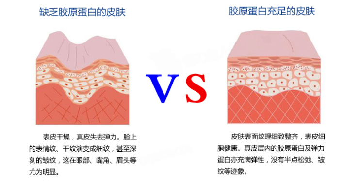 修正胶原蛋白粉 可生胶原蛋白粉