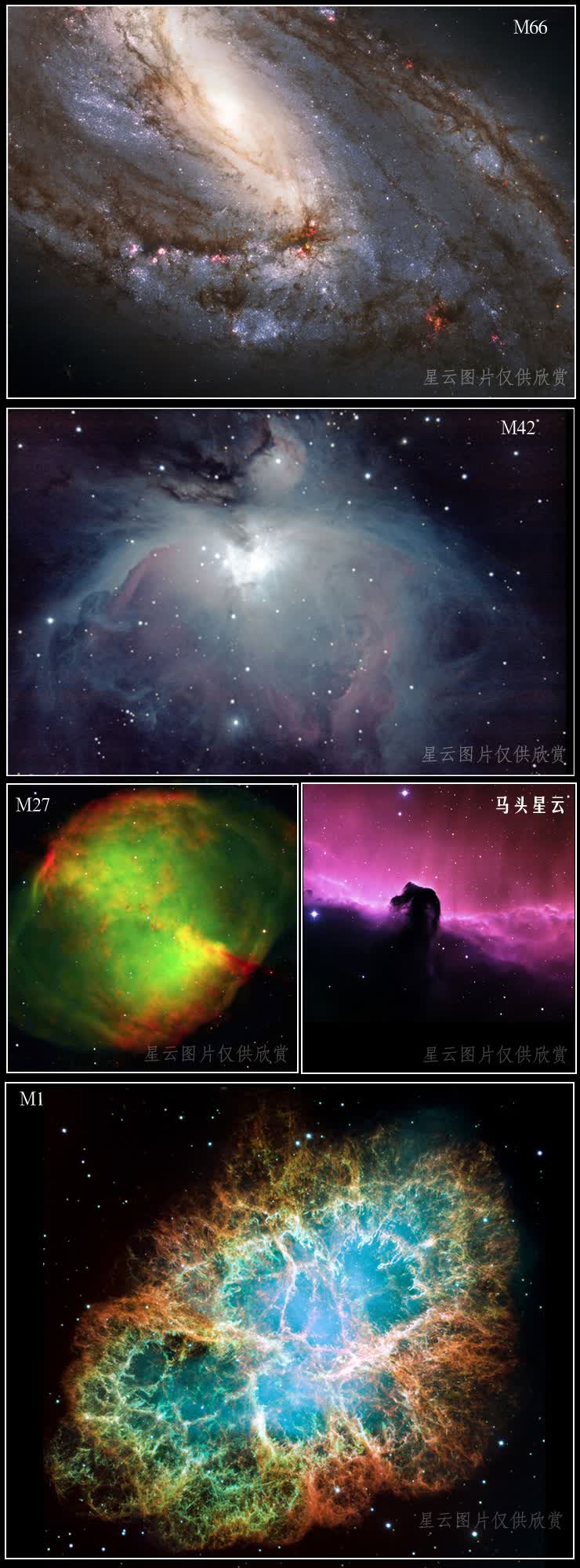 星特朗NexStar 8SE 天文望远镜 专业观星 专业级自动寻星施卡高倍高清看行星云【图片 价格 品牌 报价】-京东