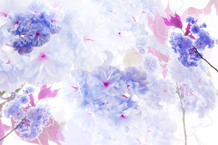 素壁画 万花齐放 家装设计现代简约温馨墙纸卧