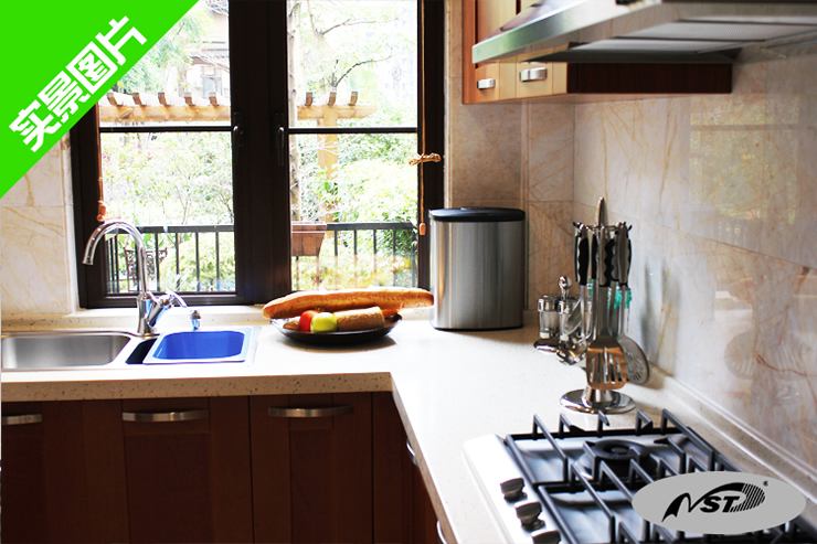 美国纳仕达NST 8L家用室内电子感应式智能免