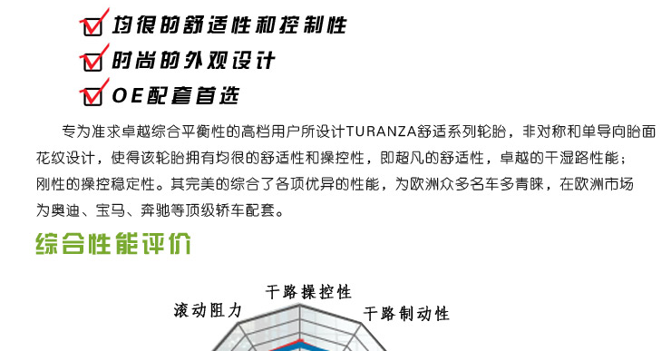 普利司通 轮胎 205\/55 R16 91V ER300(奥迪A6