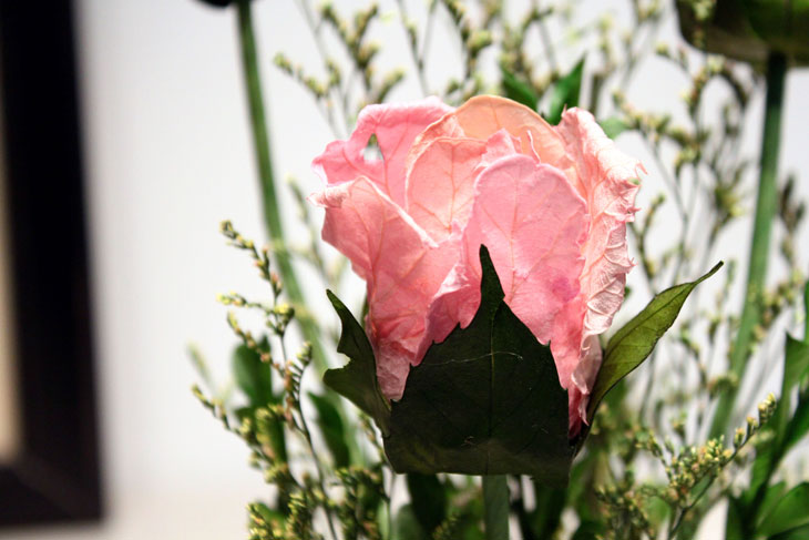 米子家居 韩式高仿真自然干花小绿植 3头玫瑰