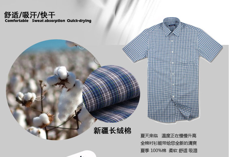 詹姆斯俊郎 时尚休闲短袖商务衬衫 高档磨毛格