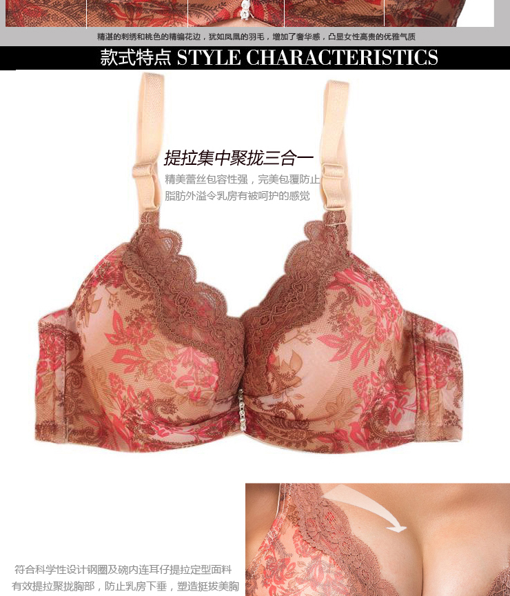 2012秋冬新款<em>馨雅丽</em>女士内衣 蕾丝<em>印花</em>聚拢 调