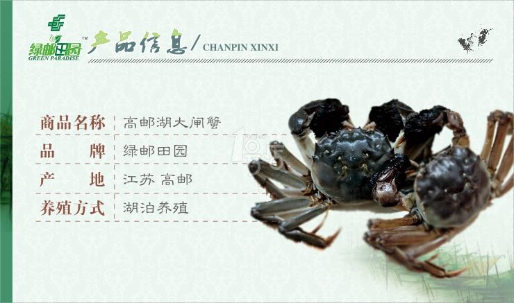 绿邮田园 高邮湖大闸蟹礼盒 公4.0-4.2两 母2.8