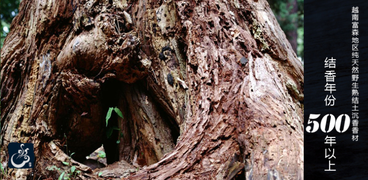 宝篆 顶级沉香粉 野生500年结香 越南产 尊贵纯