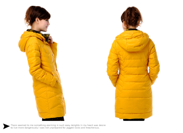 波司登旗下冰洁 2012新款 羽绒服 女式时尚修身