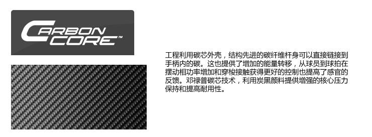 Dunlop 邓禄普 法网公开赛纪念球拍 <em>罗兰</em>加洛斯