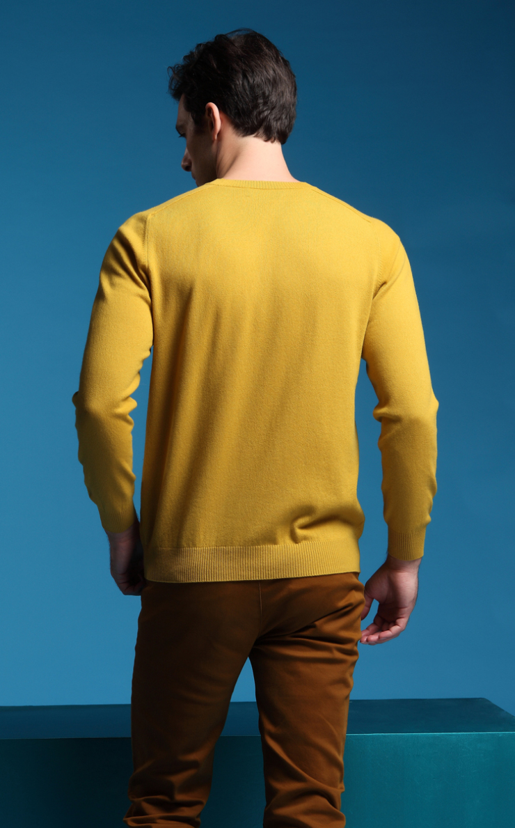 珍贝 ZHENBEI 圆领薄款男羊绒衫针织衫 TM12