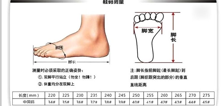 喜攀登Spanrde 男女款儿童成人乒乓球鞋 运动