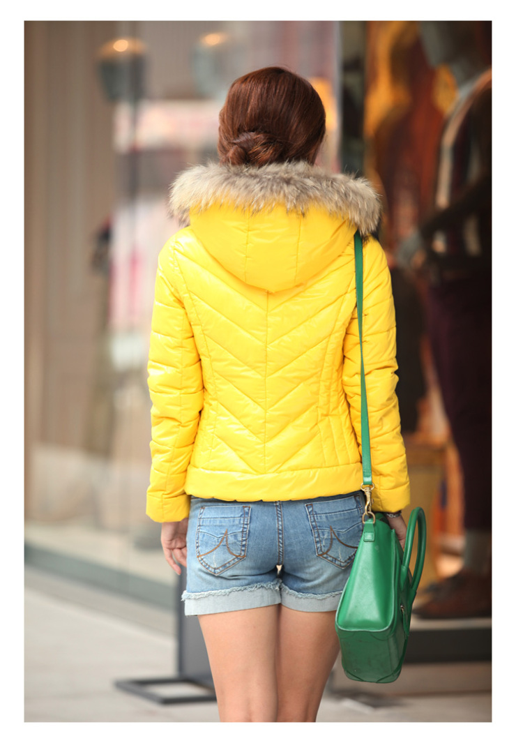 金丹香2012冬季棉衣女装韩版修身貉子毛领棉