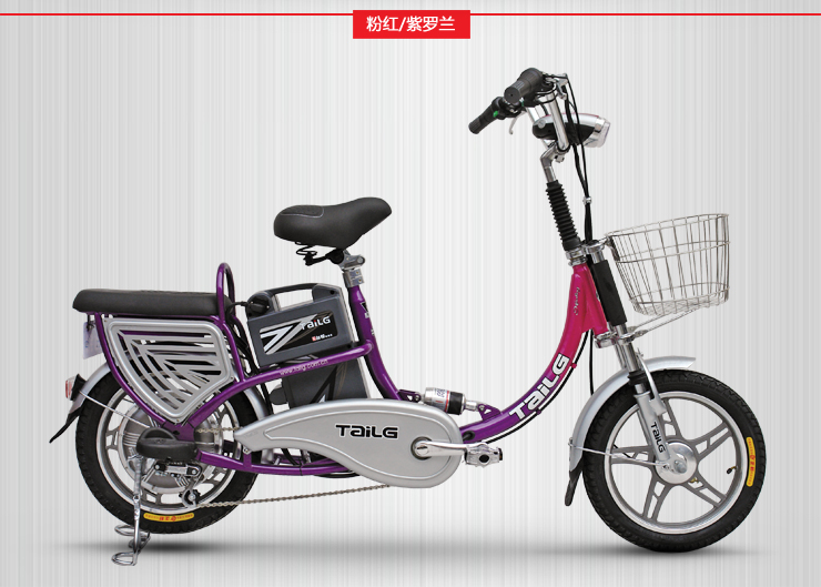 台铃 电动车 自主研发系列 48V12A骏铃 价格 -