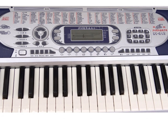 新韵电子琴系列 54键 新韵电子琴 XY-213 价格