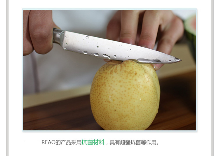 锐欧REAO厨品 至尊系列雕刻刀/削皮果蔬刀BEO8