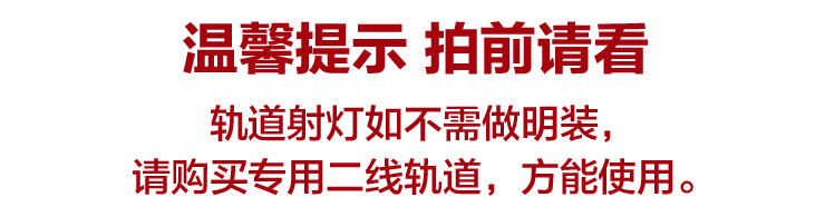 亮昀美LYM LED轨道射灯3w灯导轨灯轨导灯DGDJ016 白壳白光 白光