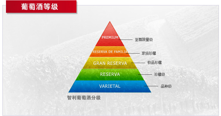 智利Reserva Especial葡萄酒 安第斯太阳穗乐仙
