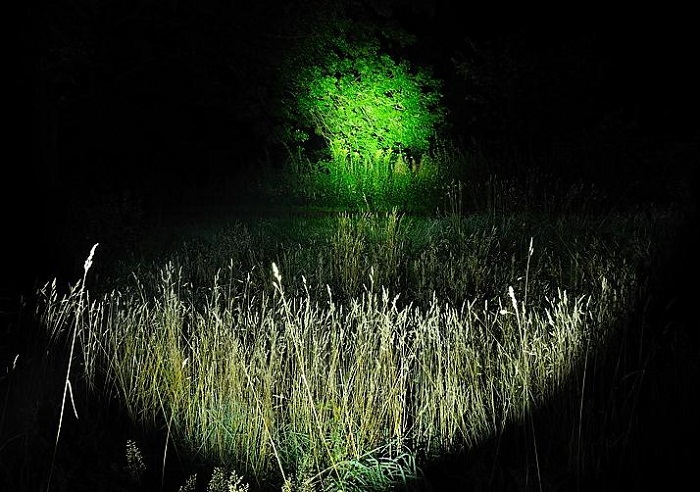 尼克斯FENIX TK35 U2 强光手电筒 860流明 29