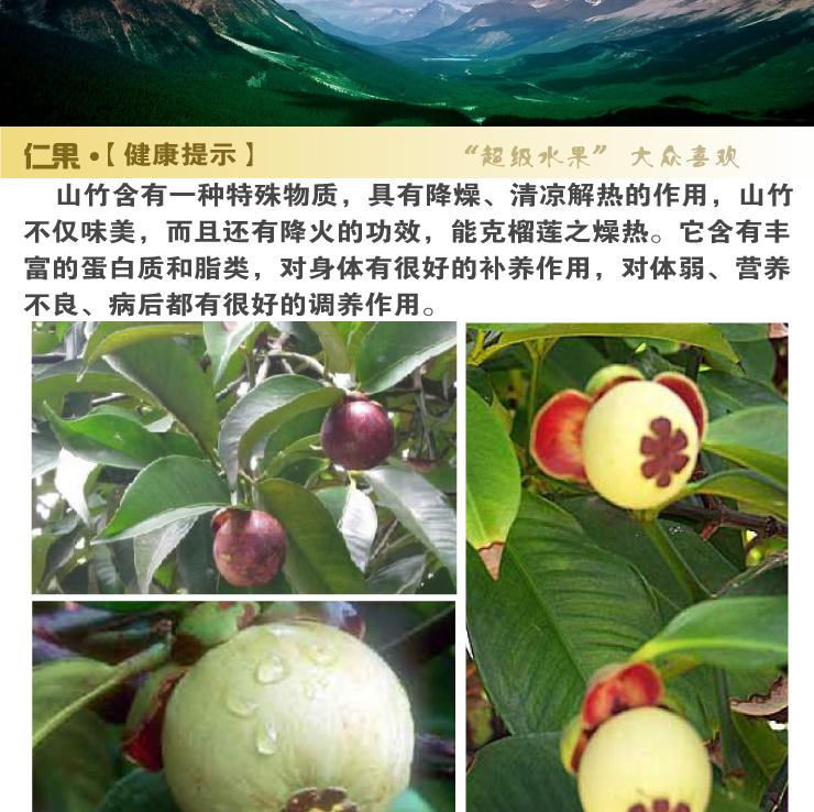 【仁果网】泰国山竹12个装 价格\/【仁果网】泰