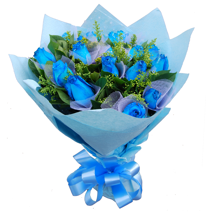 妖姬(蓝玫瑰 )深圳鲜花预定 全国鲜花店配送 南