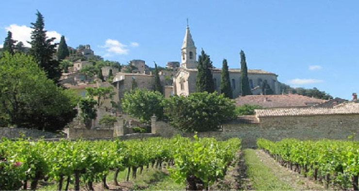 法国佩侯庄园红葡萄酒 750ml 价格\/法国佩侯庄