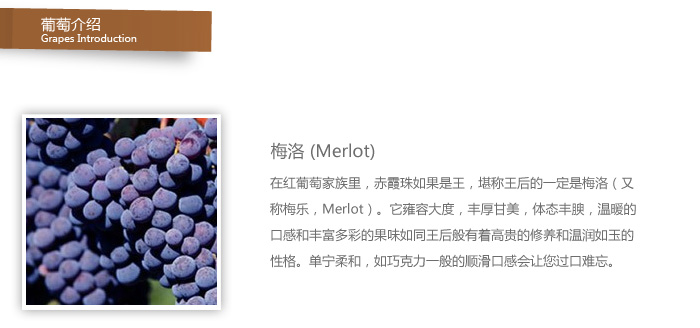 法国原装原瓶进口红酒 嘉代干红葡萄酒 750ml