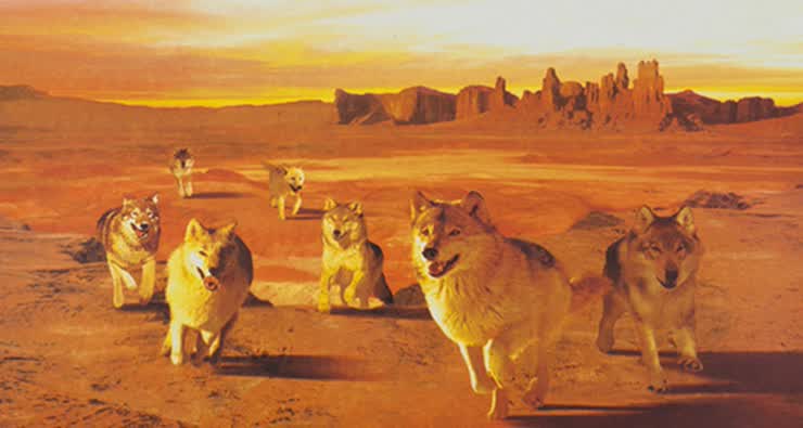 七匹狼<em>男士</em>三角<em>肥佬内裤</em> 纯棉 透气排汗 <em>男士</em>三