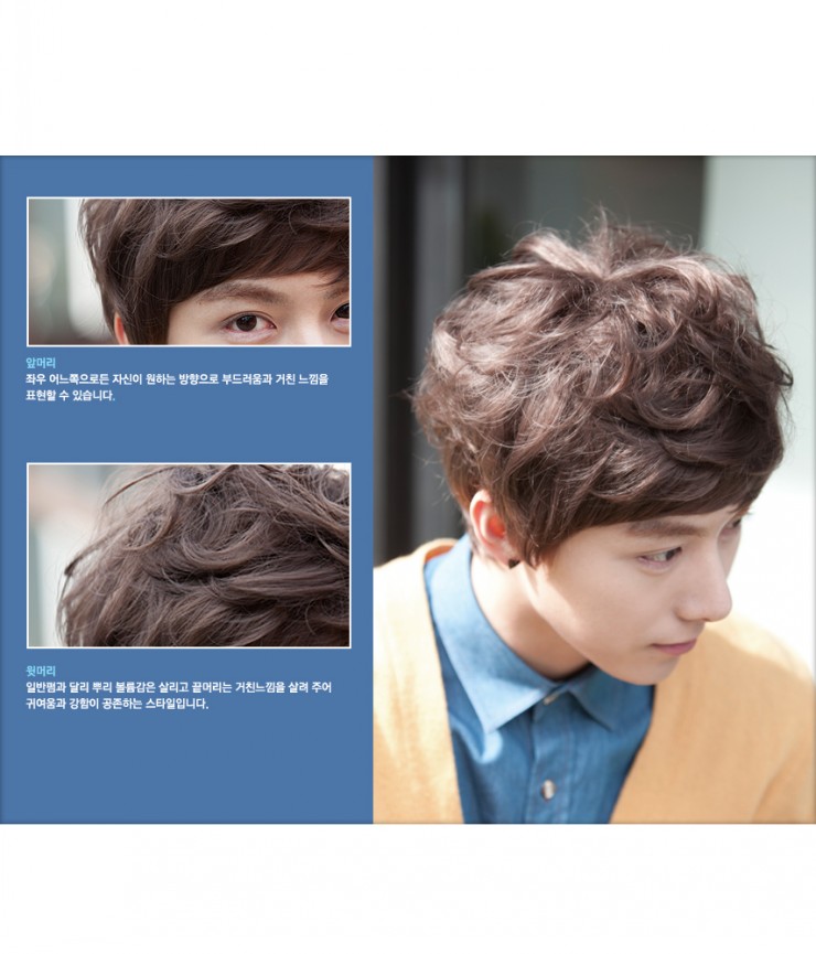 贝丽丝假发 男发 男士 男生 逼真 帅气 <em>韩版</em>韩国