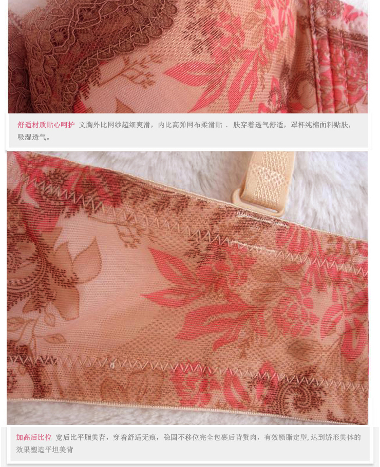 2012秋冬新款<em>馨雅丽</em>女士内衣 蕾丝<em>印花</em>聚拢 调