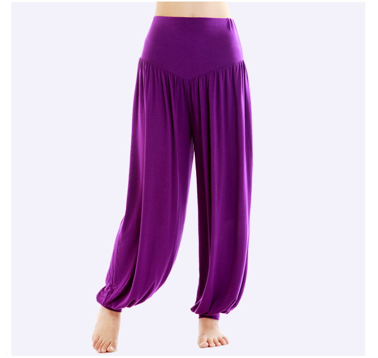 伊朵莲 瑜伽服 2012秋冬新款灯笼裤瑜珈服单裤