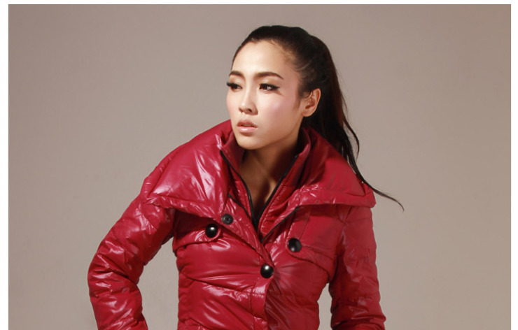 金羽杰JOSSYJO 2012冬季新款 女士长款修身