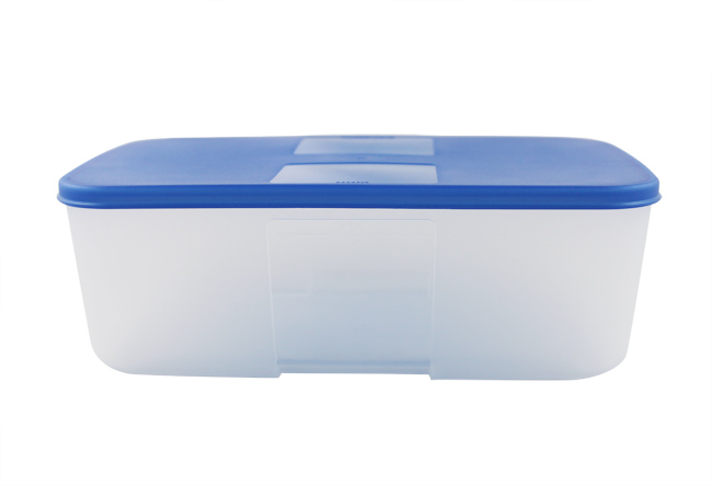 特百惠Tupperware 冰鲜冷冻保鲜套装3件套 1.7L/个 蓝色