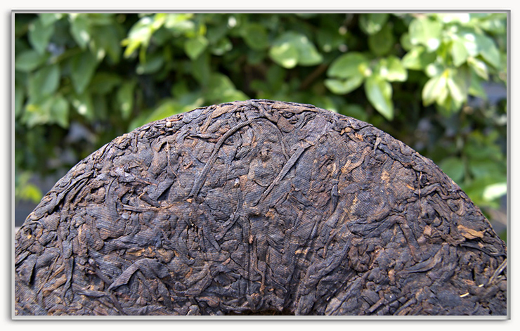 才者 云南七子饼茶熟茶 11年357克 云南普洱茶