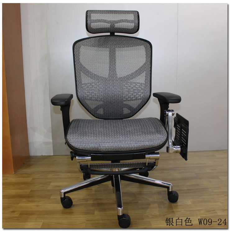 Ergonor台湾人体工学椅 电脑椅 网椅 时尚 可躺