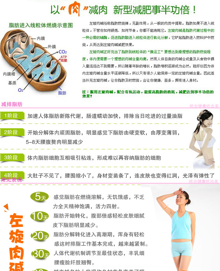 哈贝高牌左旋肉碱0.4gX112粒强效瘦腿腰肚子