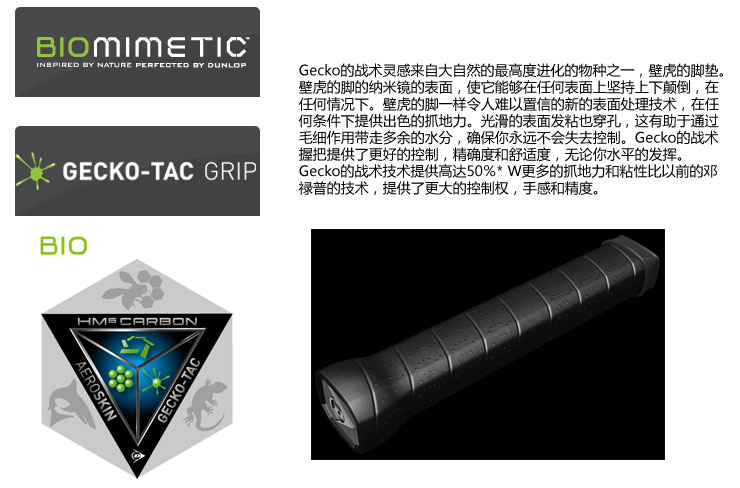 Dunlop 邓禄普 法网公开赛纪念球拍 <em>罗兰</em>加洛斯