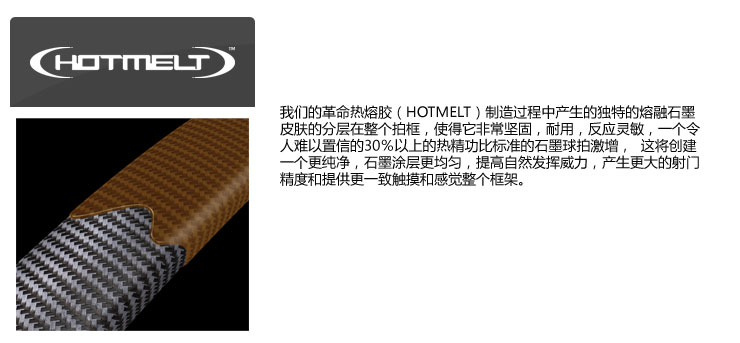 Dunlop 邓禄普 法网公开赛纪念球拍 <em>罗兰</em>加洛斯