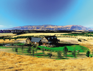 西班牙农庄系列天歌360干红葡萄酒750ml 价格