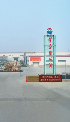 茅台龙腾盛世干红葡萄酒750ml 价格\/茅台龙腾