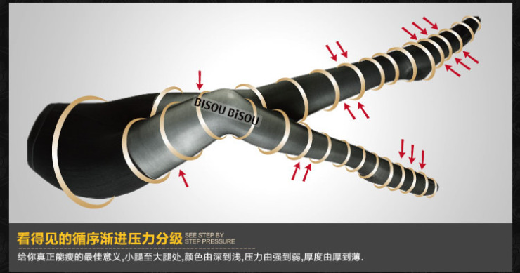 Bisou Bisou480D 比瘦 防静脉曲张袜燃脂瘦腿