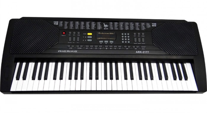 爱尔科系列电子琴 ARK-2177 61键 电子琴价格