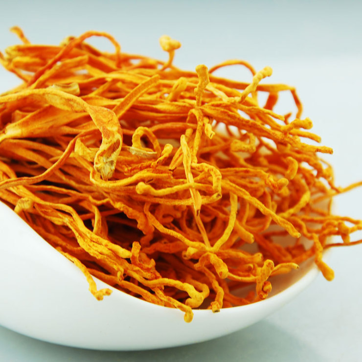 吉顺号 云南特产 金虫草\/虫草花\/北虫草\/冬虫夏