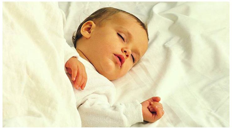 安贝尔宝宝枕头 1-3岁 决明子 小孩幼儿童 枕头
