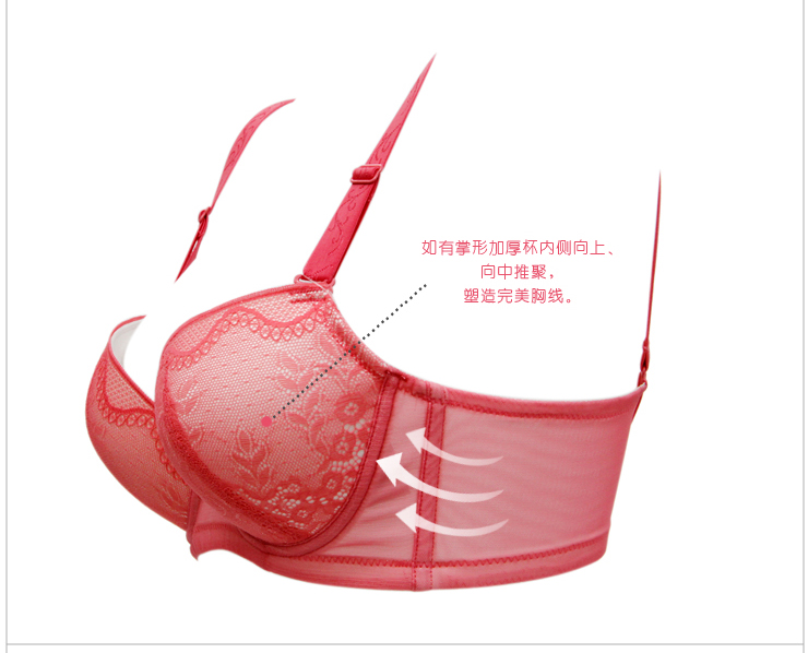 雅歌莉倾慕<em>年轻时尚</em>内衣 轻薄蕾丝丰胸效果文