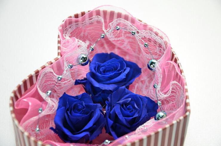 <em>生日</em>礼物 <em>女友生日</em>礼物礼品 蓝<em>玫瑰</em>保鲜花礼盒