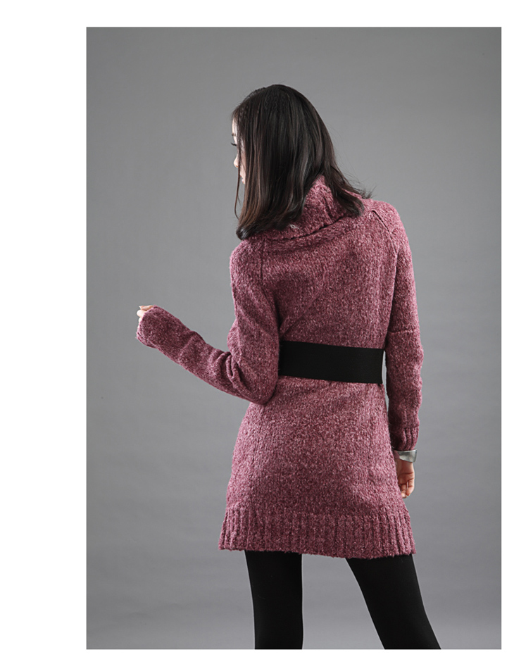 pastime2011秋冬新款 羊毛混纺加厚<em>高领</em>女式长