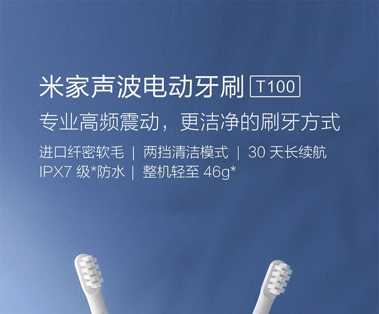 小米（MI）米家声波电动牙刷T100成人儿童充电式智能防水震动 米家声波电动牙刷 T100 蓝色