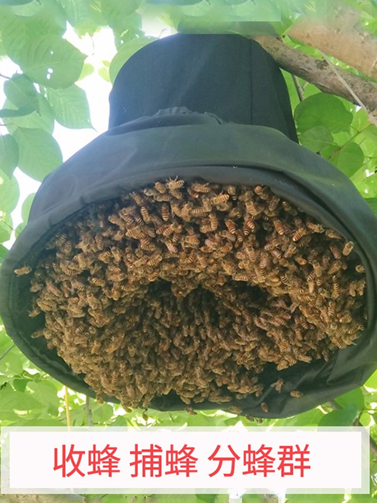 蜂之家收蜂笼黑色布收蜂袋布袋收蜂帽蜂斗黑色招蜂笼加大加厚蜜蜂野外